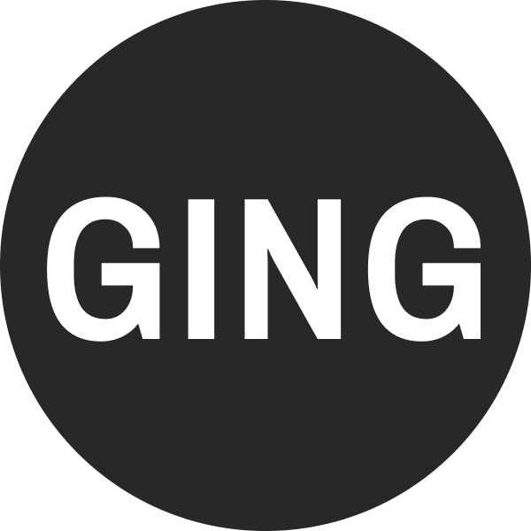 Next Generation Internet Group (GING)